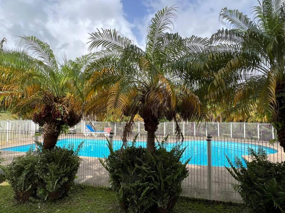 Kanoa Lodge Piscine Et Vue Mer Saint-Claude Eksteriør billede