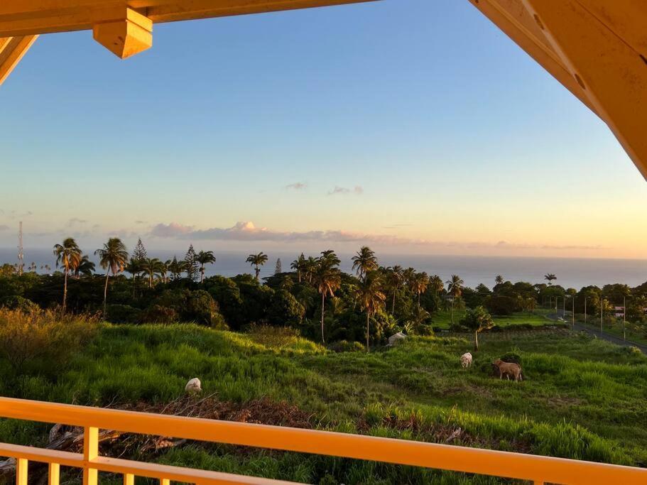 Kanoa Lodge Piscine Et Vue Mer Saint-Claude Eksteriør billede